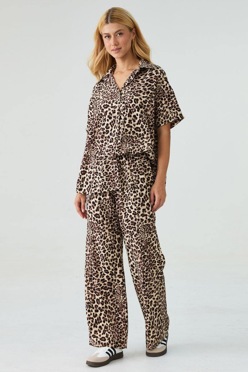 KATCH ME Womens Leopard Print Collared Shirt and Pants Set